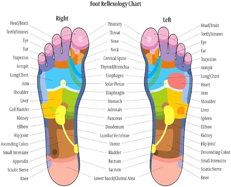 30 Minute Reflexology